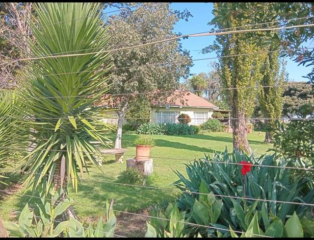 FARM FOR SALE IN SCHOONGEZICHT